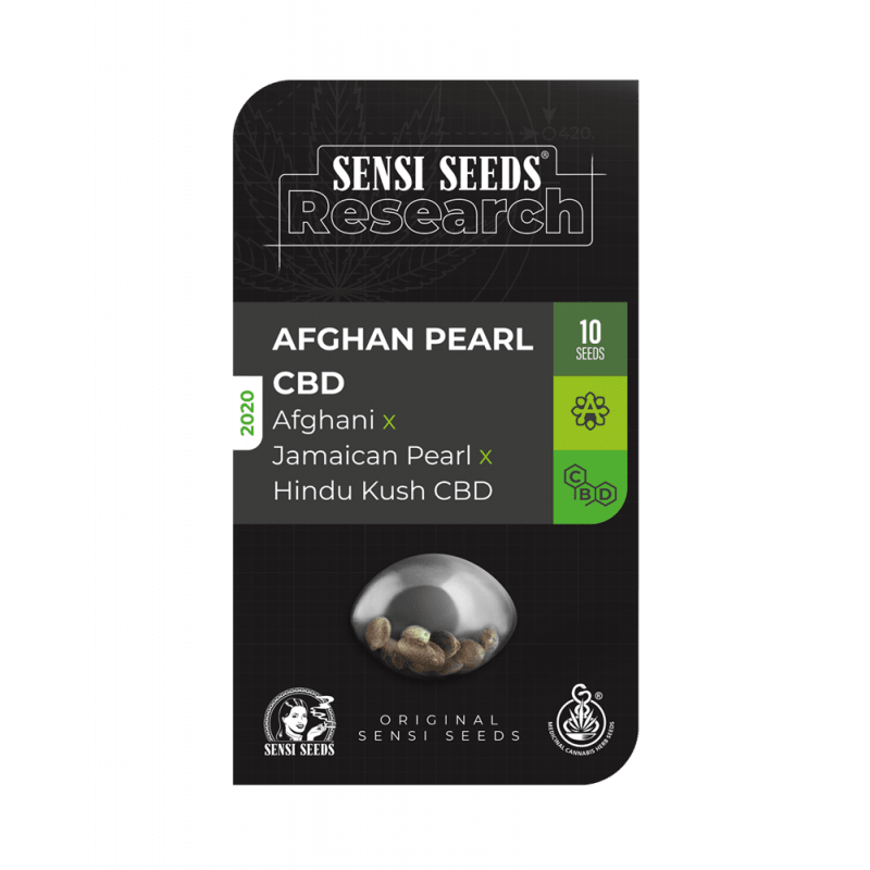 Afghan Pearl Cbd Auto Sensi Seeds Pack De 3 Graines