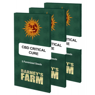 CBD Critical Cure - Barney's Farm
